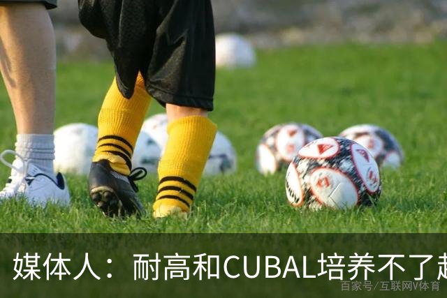 媒体人：耐高&CUBAL培养不了赵博新&张宇辰这些好苗子 赶紧送出国